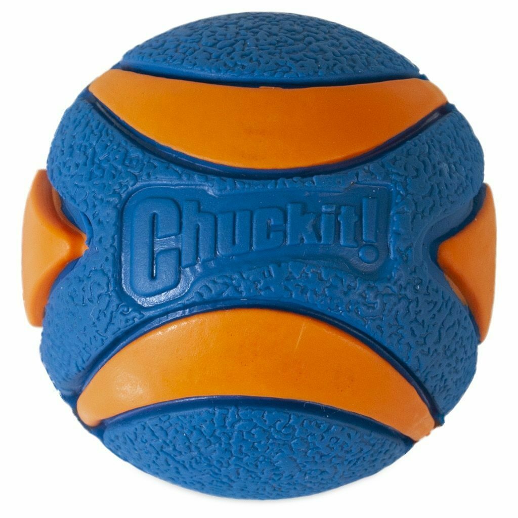 Chuckit! Small Ultra Squeaker Ball Dog Toy, 1-count image number null