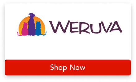 Image without a name