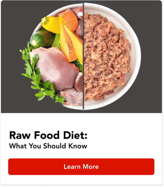 Raw Food Diet: What You Should You Know