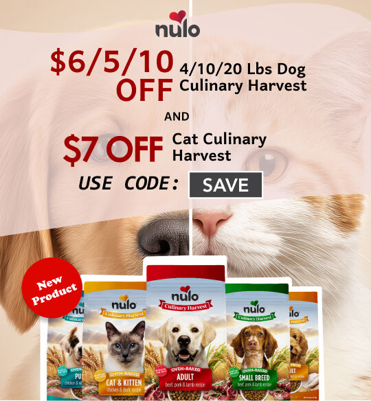 Use Code " SAVE" at checkout