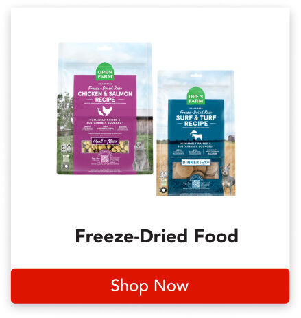 Image without a name