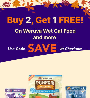 October Monthly Specials; Use Code- SAVE