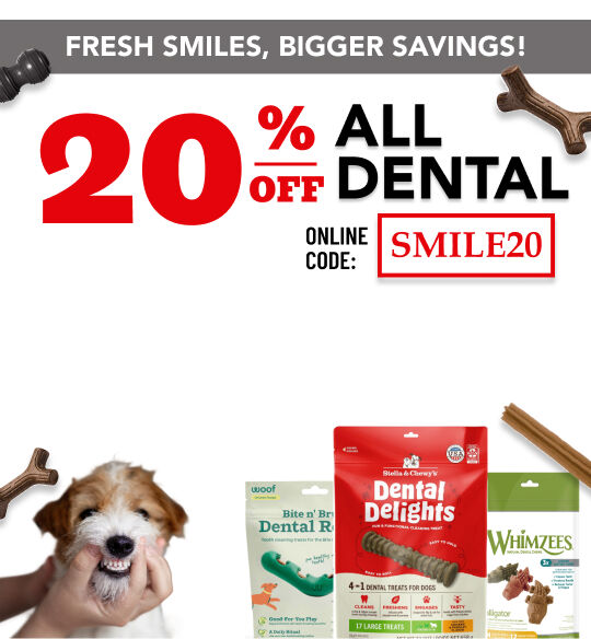 Dental Day; Use Code- SMILE20 at checkout