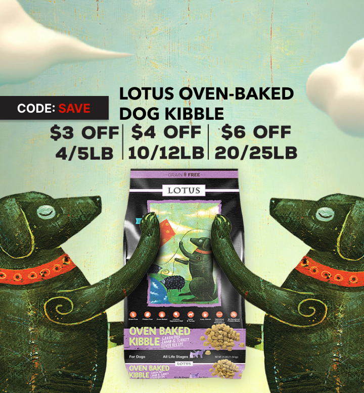 Monthly Specials: Use Code "SAVE" at checkout