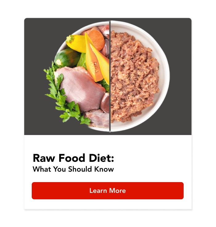 Raw Food Diet: What You Should You Know