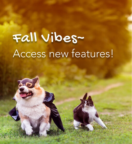 Access New Features - Summer's Here!