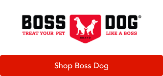 Boss Dog