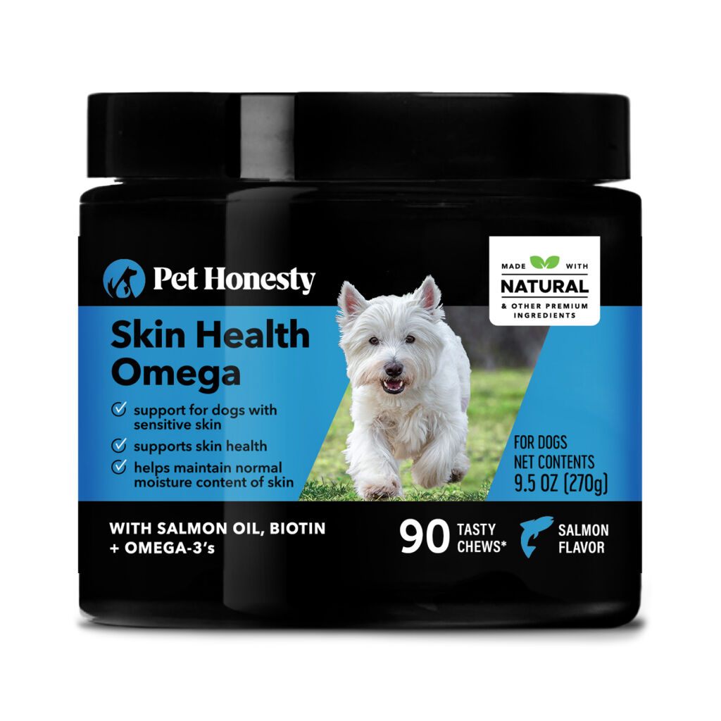 Feed and pet online