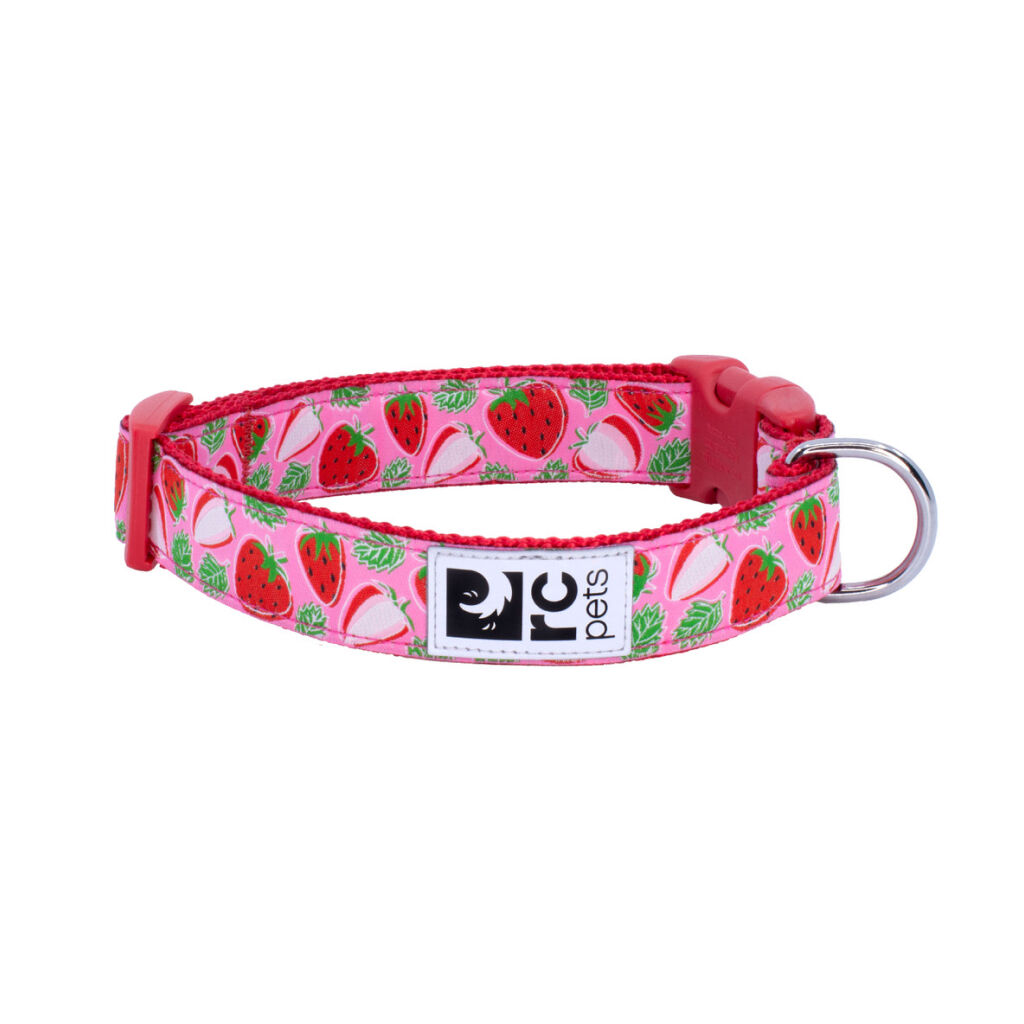 RC Pets Verstellbares Halsband Für Hunde, Größe M (30-51 Cm), Mit Clip & Reflektierendem Etikett, Tropical Paisley