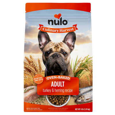 Nulo Dog Culinary Harvest Turkey & Herring Dry food, 4-lb