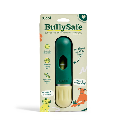 BullySafe