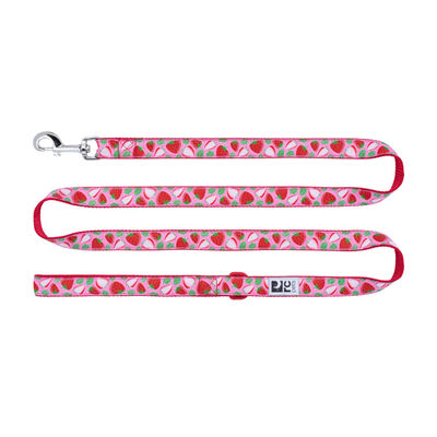 RC Pets 3/4"x6' Dog Leash Strawberries