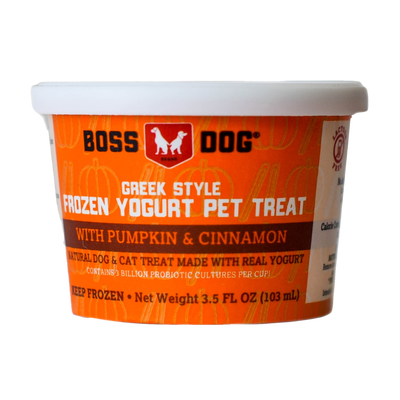 Greek Style Frozen Yogurt Treat Pumpkin & Cinnamon, 3.5-oz