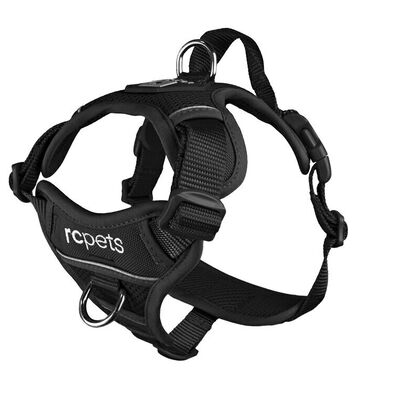 Momentum Harness M Black