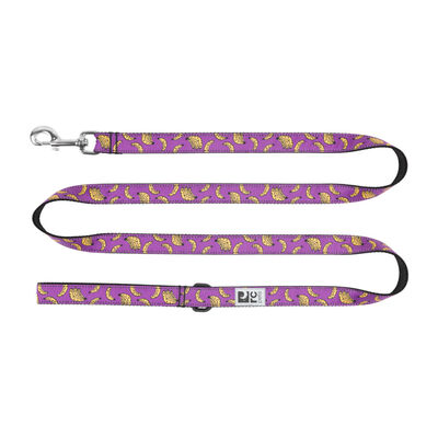 RC Pets 1"x6' Dog Leash Bananas