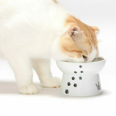 Raised Cat Food Bowl (Cat)
