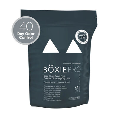 Boxie Pro Self-Cleaning Probiotic 40 Day Odor Control Clumping Clay Cat Litter, 16-lb