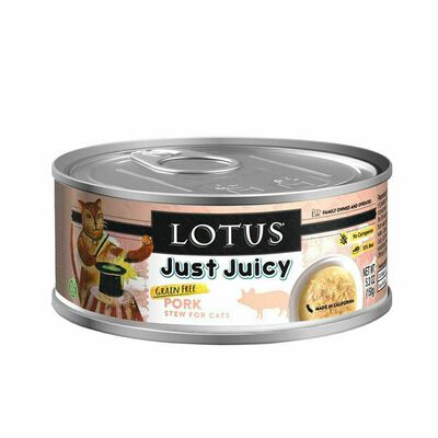 Just Juicy Pork Stew