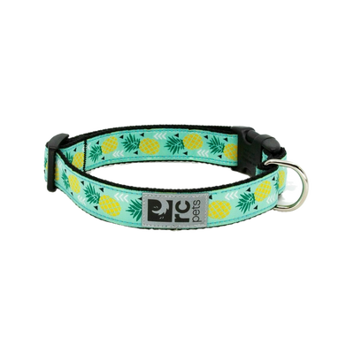 Clip Collar Pineapple Parade