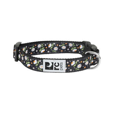 RC Pets 1" Dog Clip Collar Daisies, Large