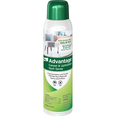 Bayer Advantage Carpet & Upholstery Spot Spray - 16 oz can