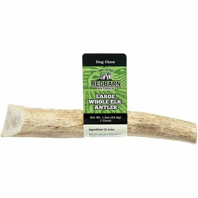 Whole Elk Antler