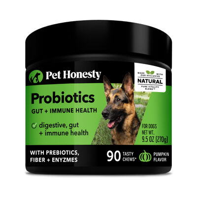 Pet Honesty Probiotics Gut + Immune Health Chews for Dogs, Pumpkin, 90-count