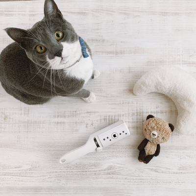 Purrfection Neat & Easy Feline Hair Remover