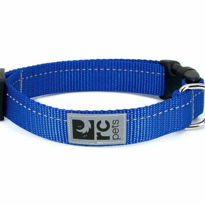 Clip Collar Primary Royal Blue