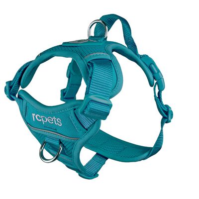 Momentum Harness L Dark Teal