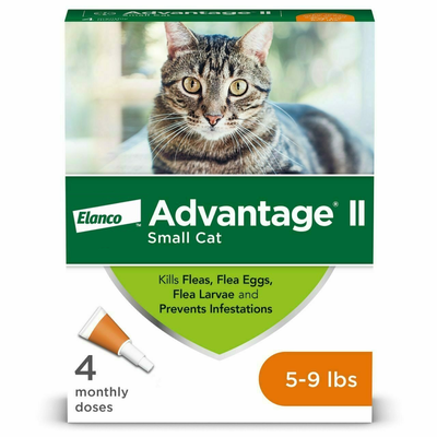 Frontline advantage for cats hot sale