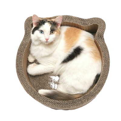 Cat-Headed Scratcher  Bed