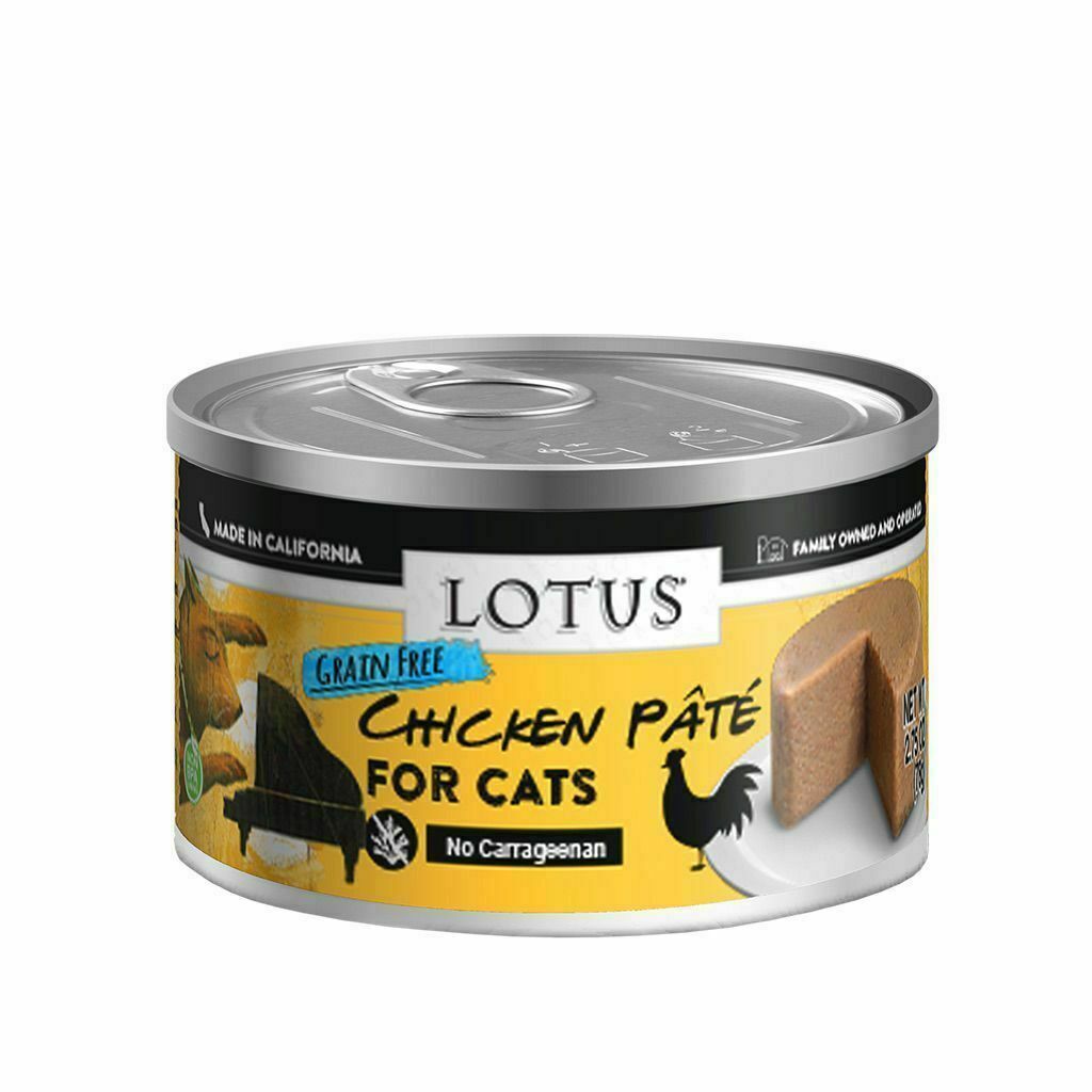 Lotus grain free turkey pate online