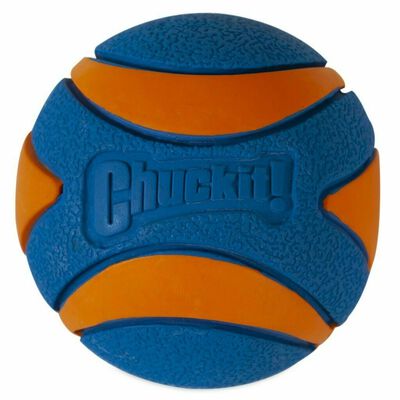 Chuckit! Large Ultra Squeaker Ball Dog Toy, 1-count