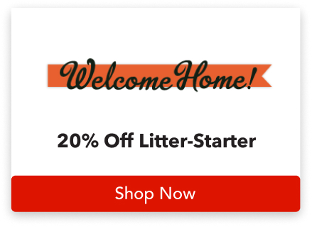 Shop WELCOME HOME Food Frenzy Deals