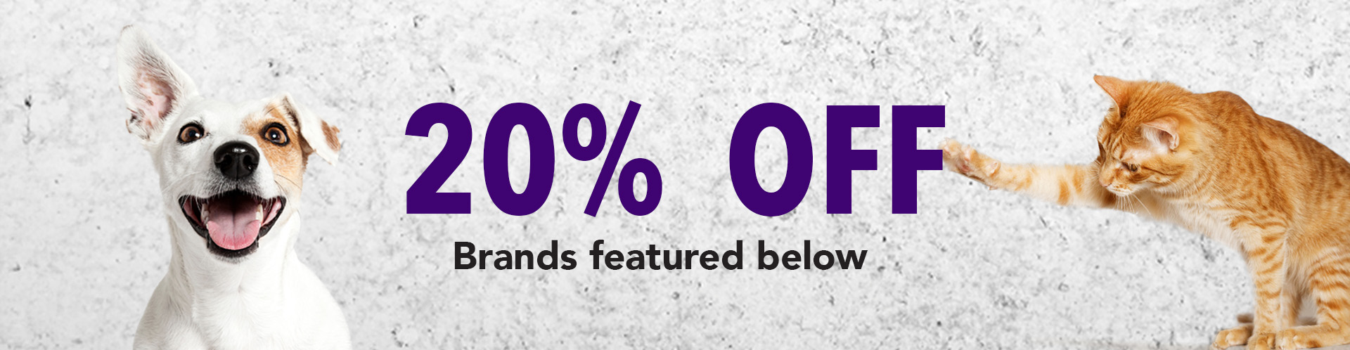 25% Off Food Frenzy Deals