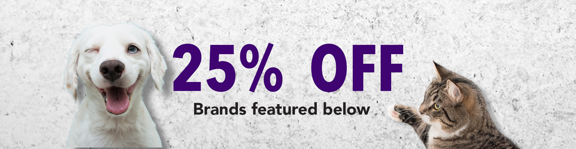 25% Off Food Frenzy Deals