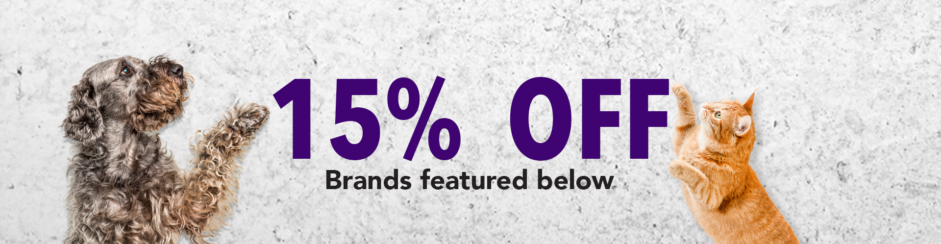 25% Off Food Frenzy Deals