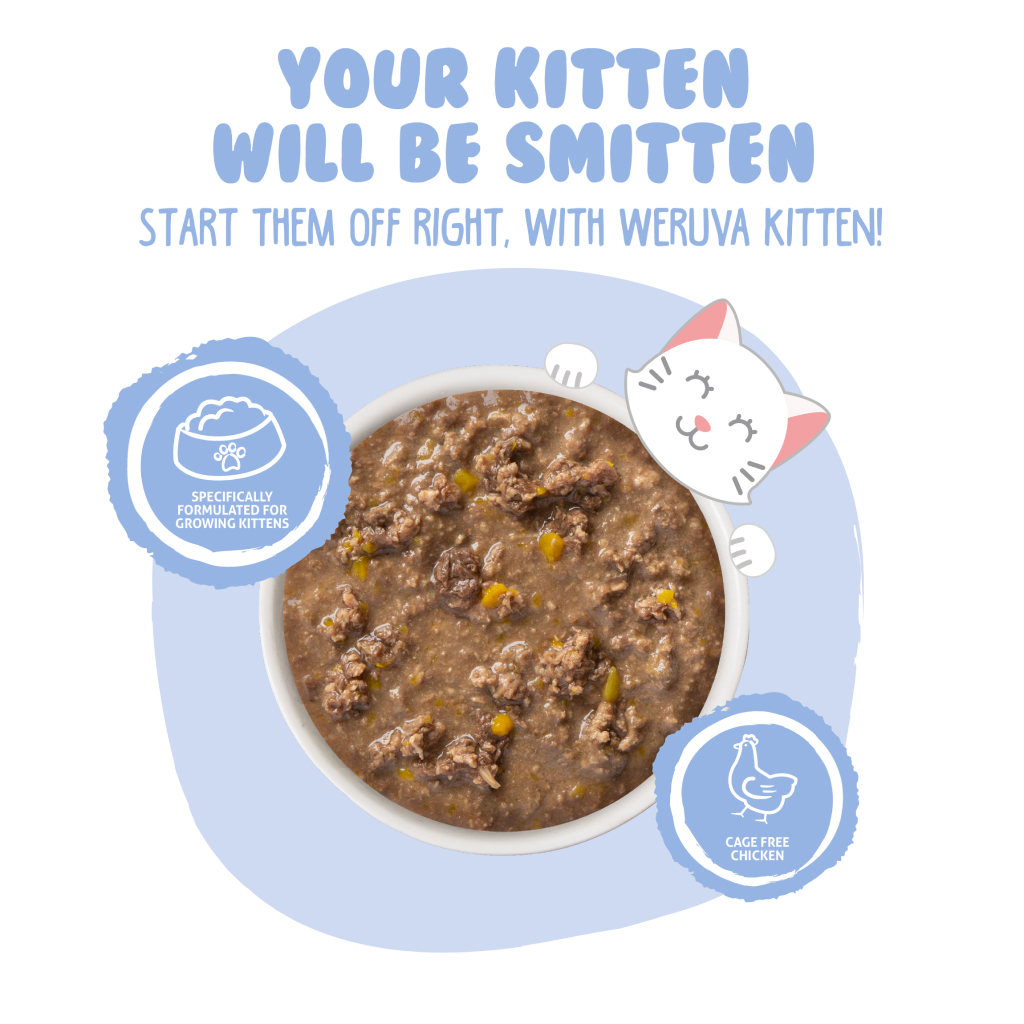Weruva Kitten Cat Can - Chicken & Pumpkin Formula in Gravy, 3-oz image number null