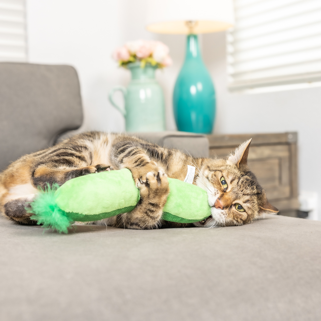 Huxley & Kent Cat Kicker PICKLE image number null