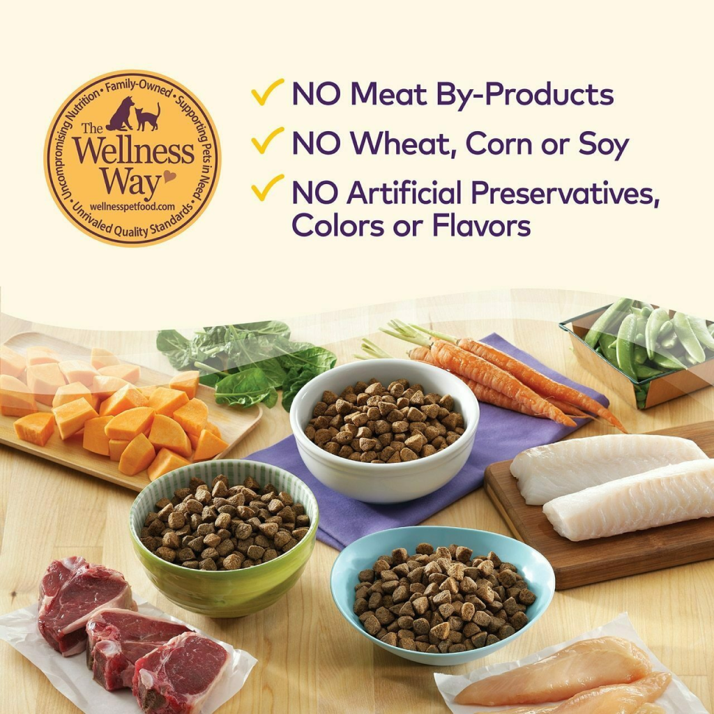 Wellness Complete Health Natural Grain Free Dry  Breed Dog Food, Turkey, Chicken & Salmon image number null