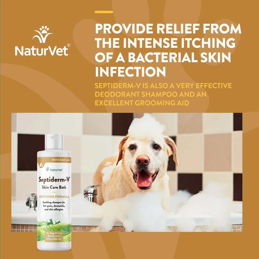 Naturvet Septiderm-V Skin Care Bath For Dogs And Cats, Liquid, Made In The USA, 16-oz image number null