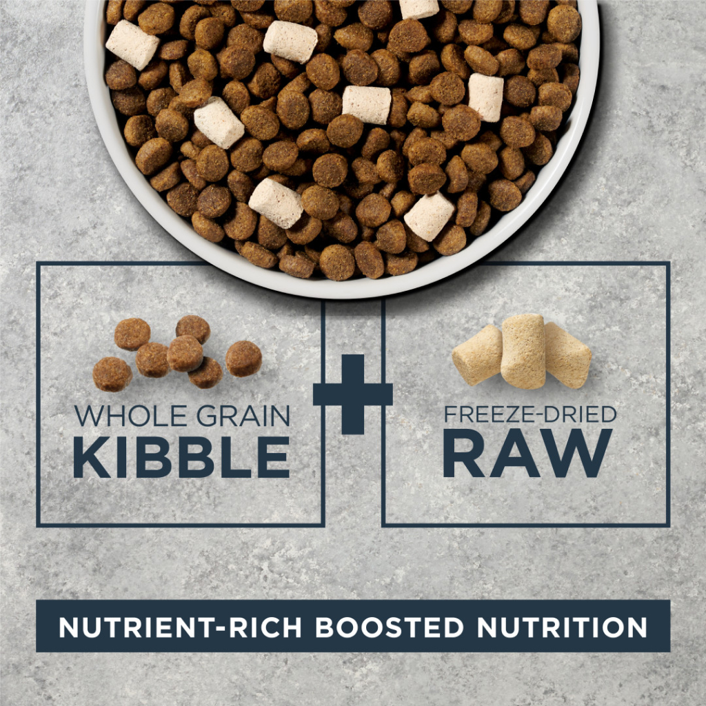 Instinct Raw Boost Whole Grain Salmon & Brown Rice Dry Dog Food, 20-lb image number null