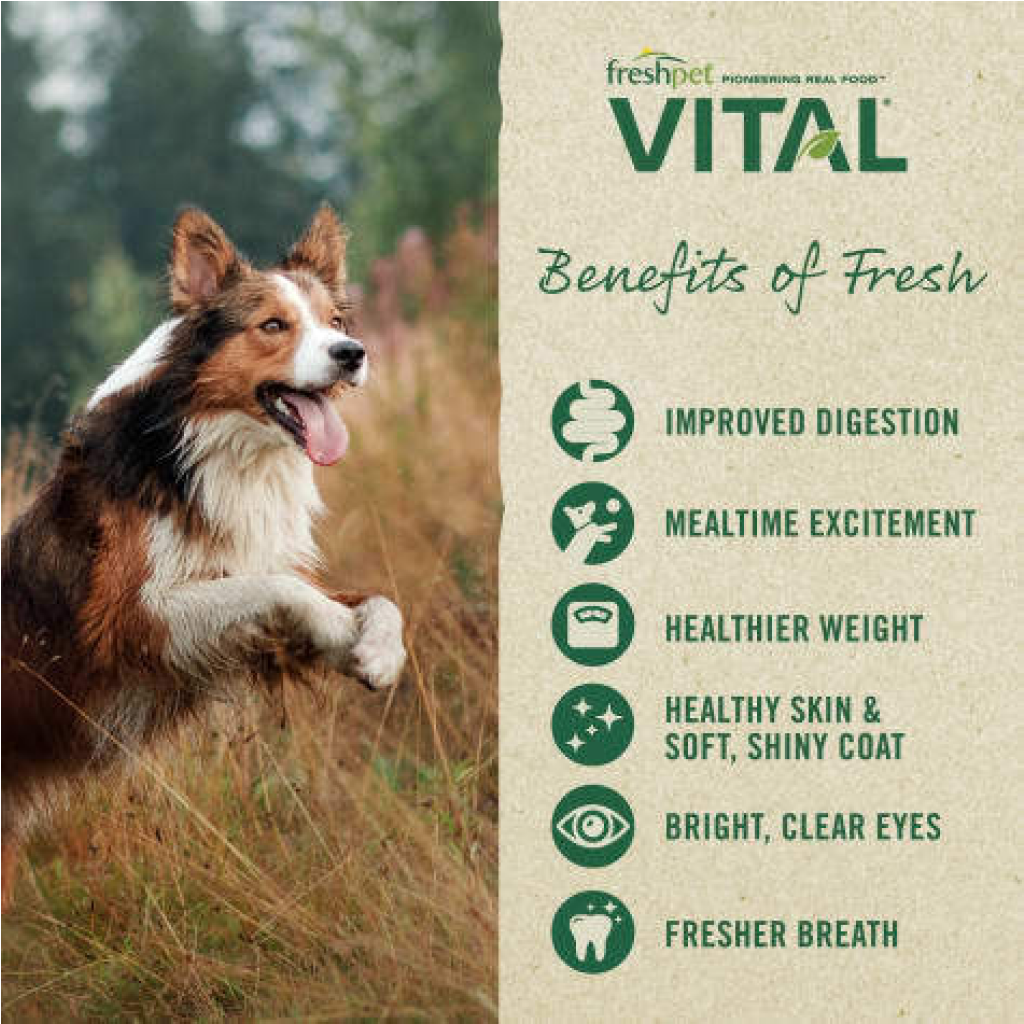 Freshpet Vital Fresh Cuts 4.5-lb image number null