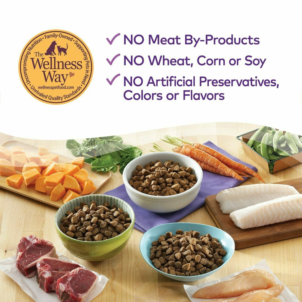Wellness Complete Health Natural Wet Canned Dog Food, Duck & Sweet Potato, 12.5-oz Can image number null