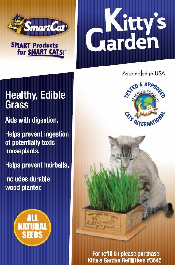 Kitty's Garden Organic Cat Grass & Container image number null