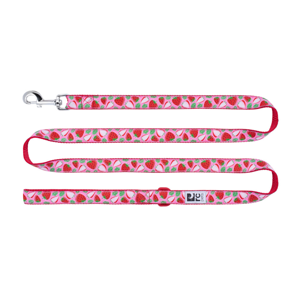 RC Pets 1"x6' Dog Leash Strawberries image number null