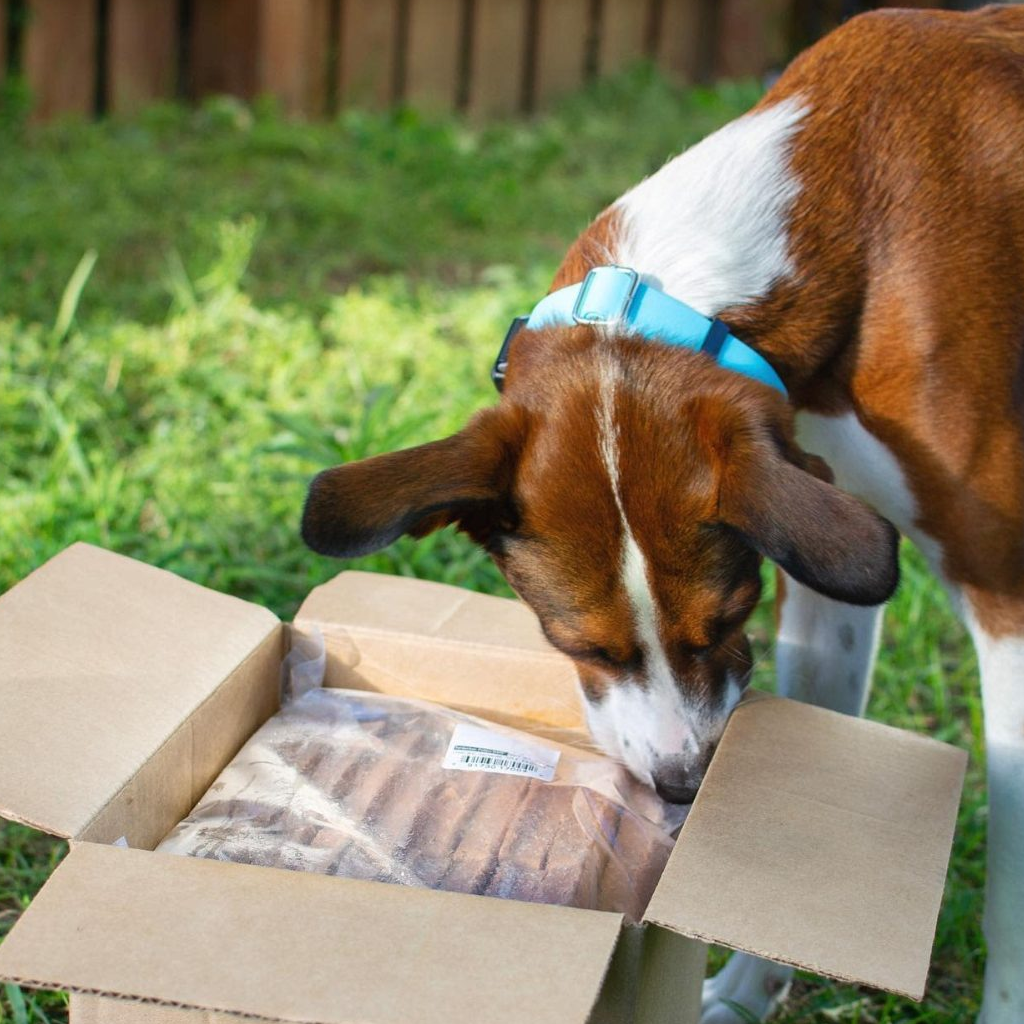My Dog Eats Frozen Poop metta.pt