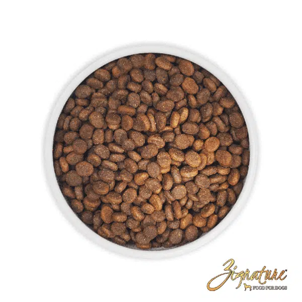Zignature whitefish review cheap