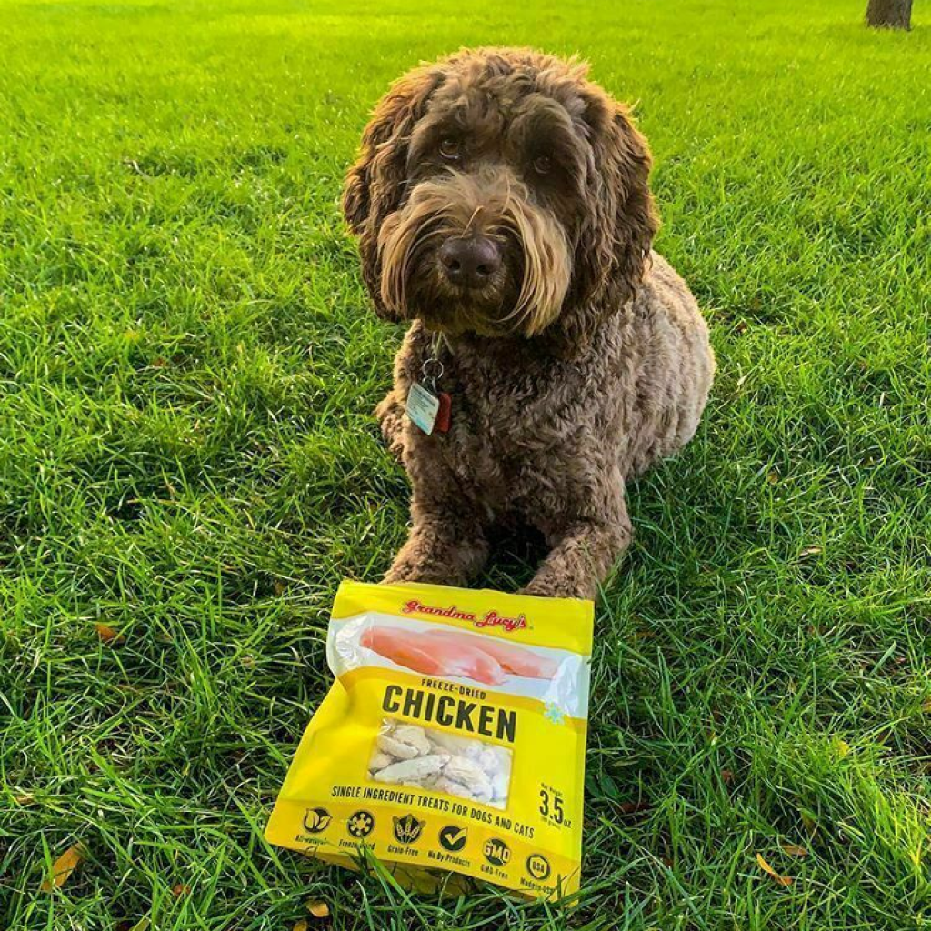 Singles Chicken Pet Treats 3.5-oz image number null